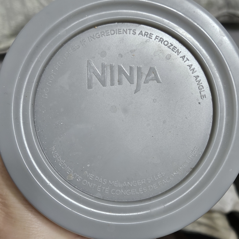 Ninja Gray Creami Pint